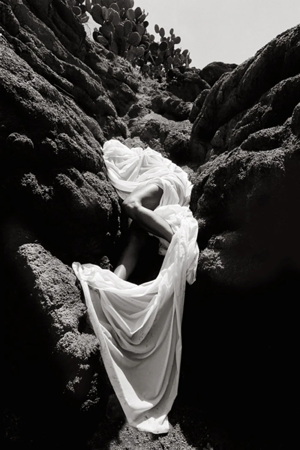 <p>Galatea</p>

