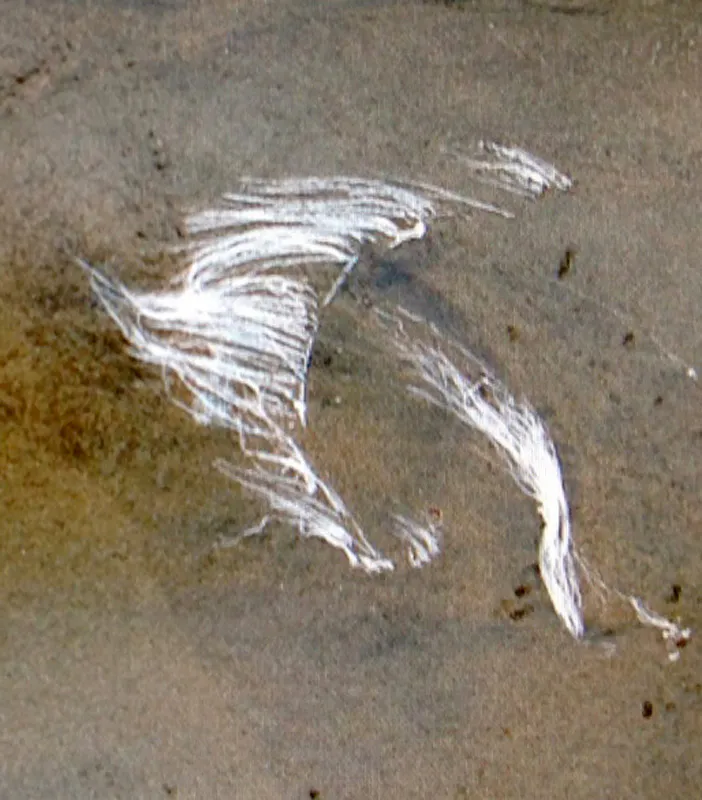 <p>Dibujo</p>
