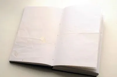 <p>Libro II</p>
