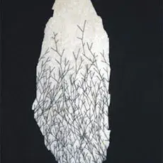 gissel-rascon