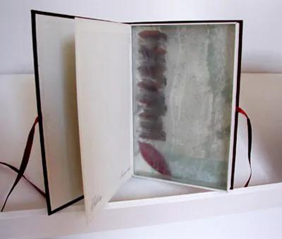<p>Océano</p>
