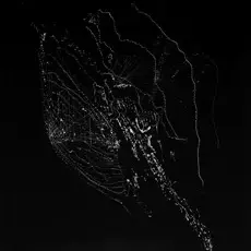 iliana-ortega