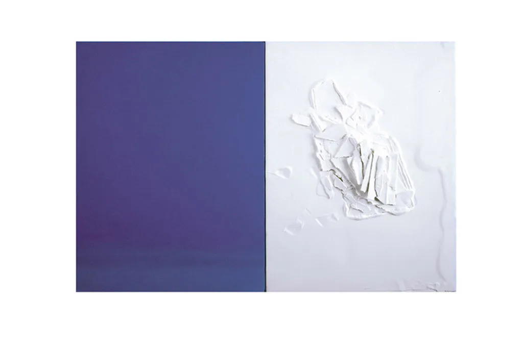 <p>Ice memory</p>
