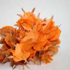 maribel-portela