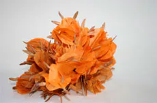 maribel-portela
