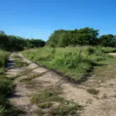 mina-barcenas