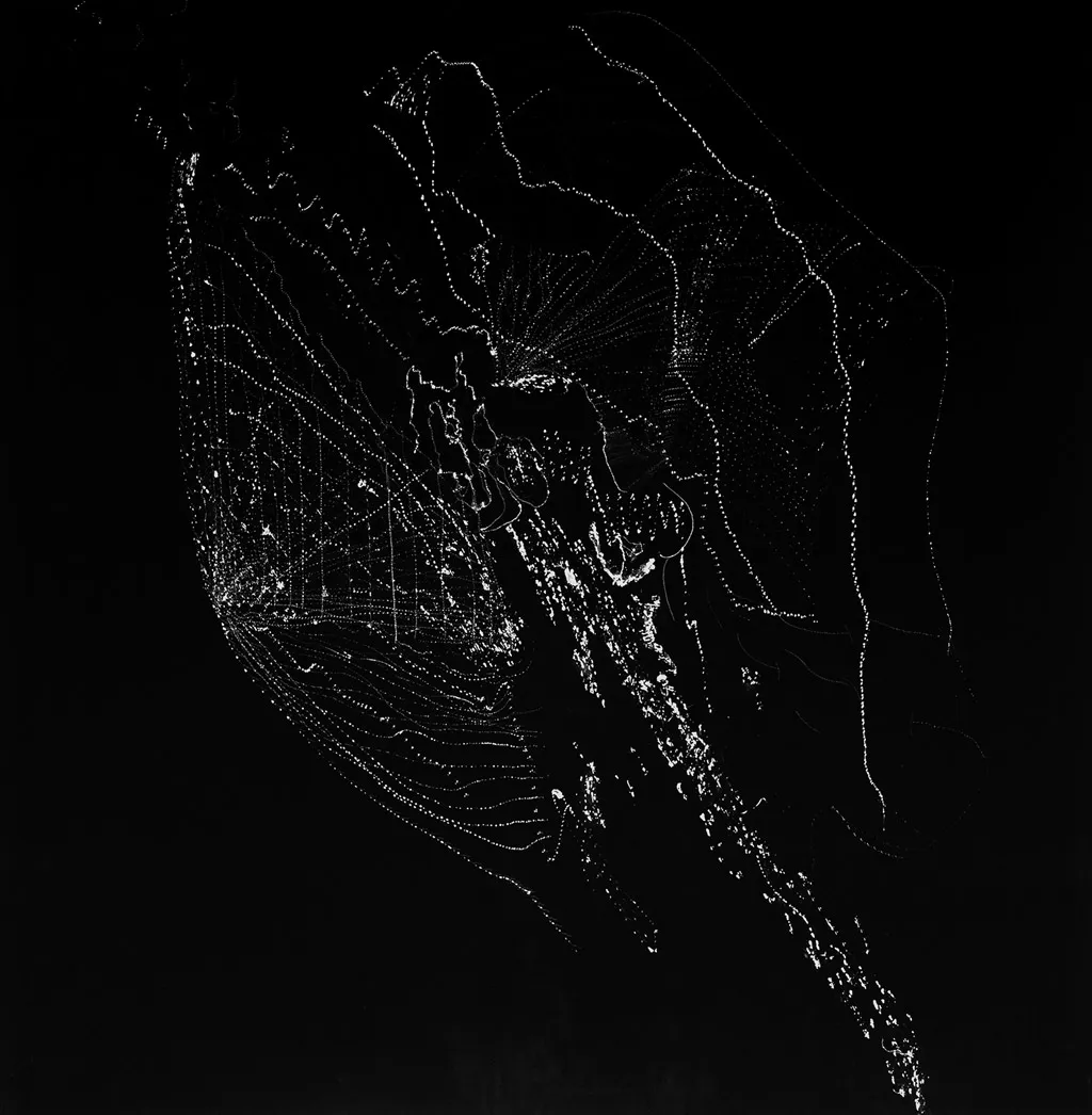 <p>Draw No. II, pigment print, 60 x 60 In, 2011</p>
