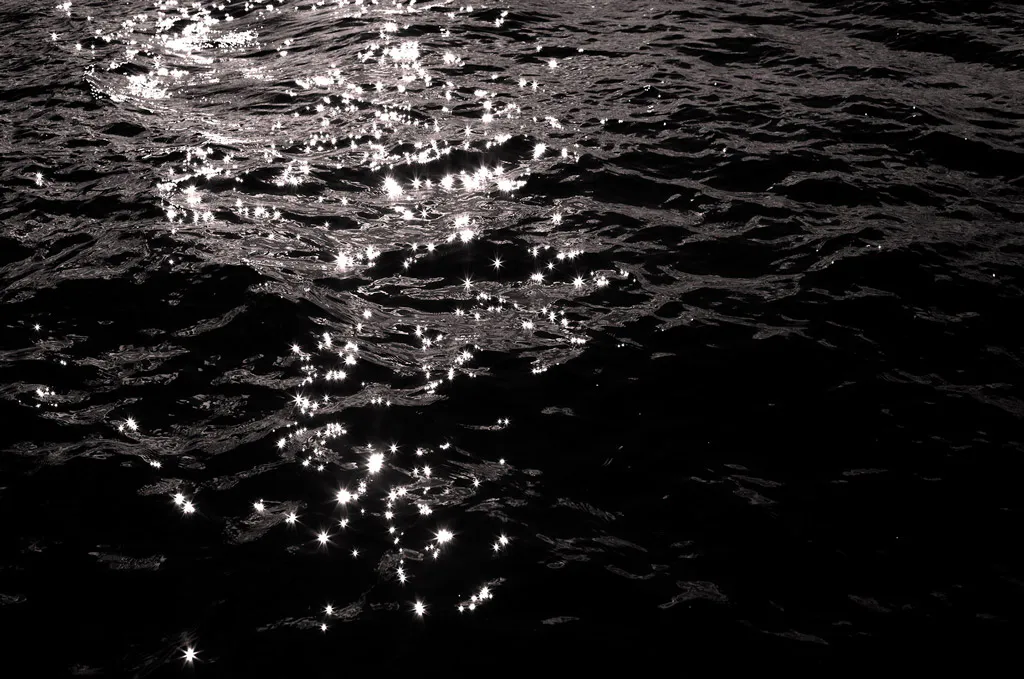 <p>Shining water, pigment print, 32 x 44 In, 2011</p>
