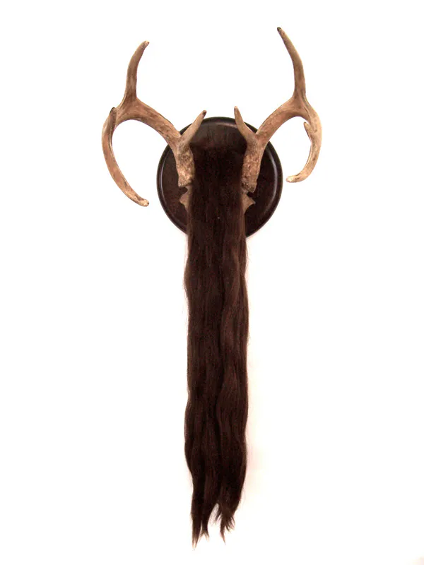 <p>Berenice | Astas de venado y cabello humano | 63x32cm | 2009</p>
