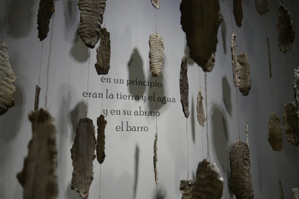 <p>Lluvia</p>
