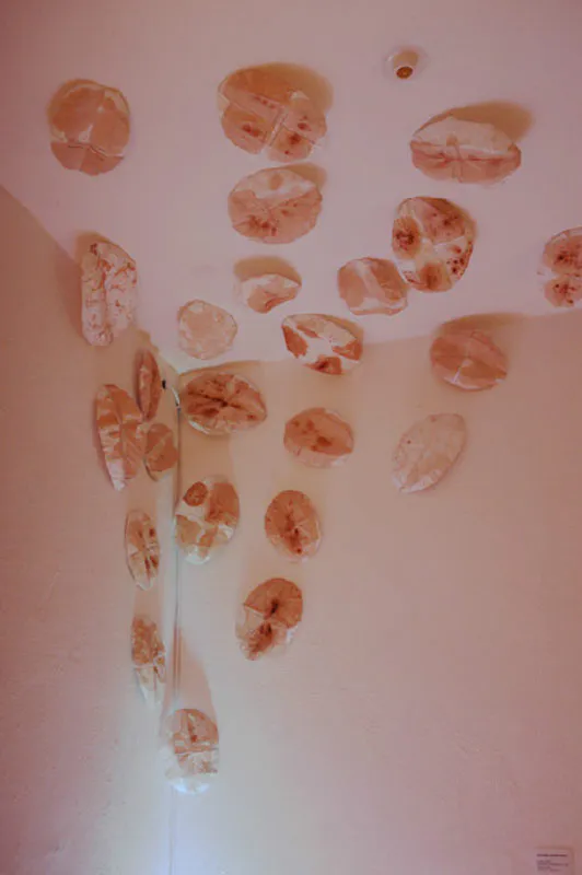 <p>Pendientes</p>
