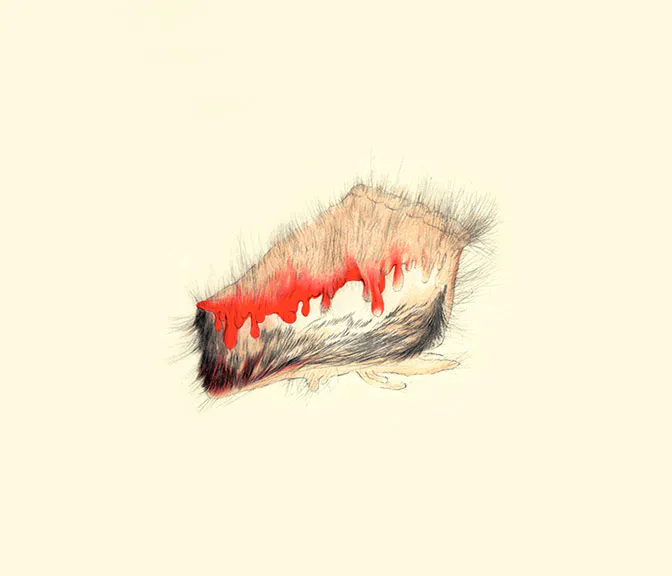 <p>dibujos / méxico | 2009 - 2007 | lápices de colores / papel / 41.5 x 29.5 cm. c/u</p>
