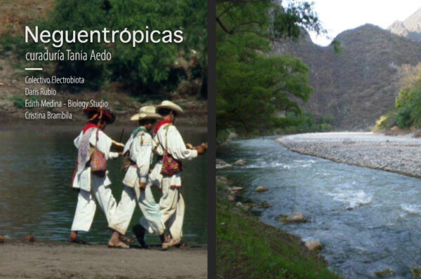 neguentropicas