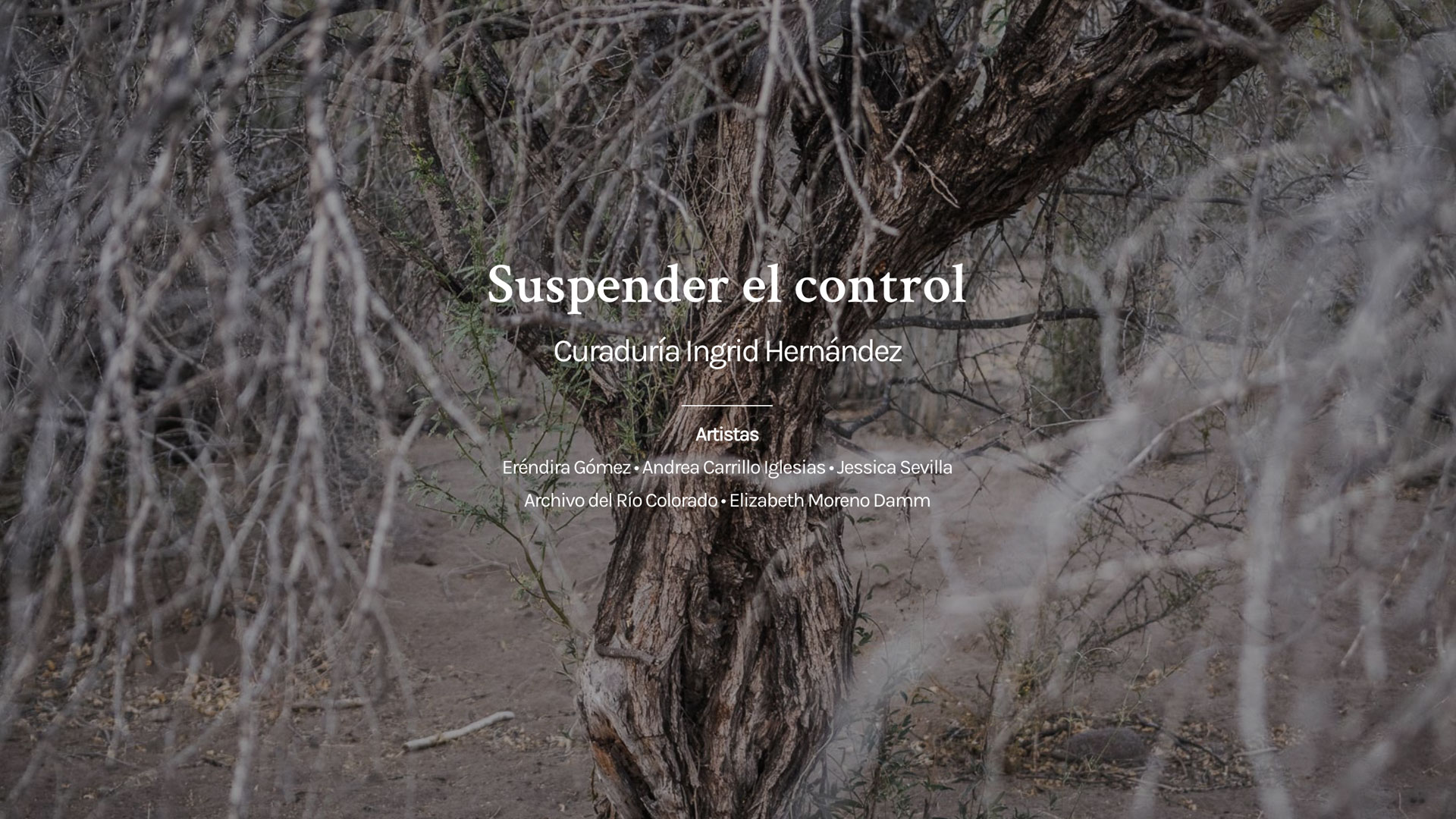 Suspender el control