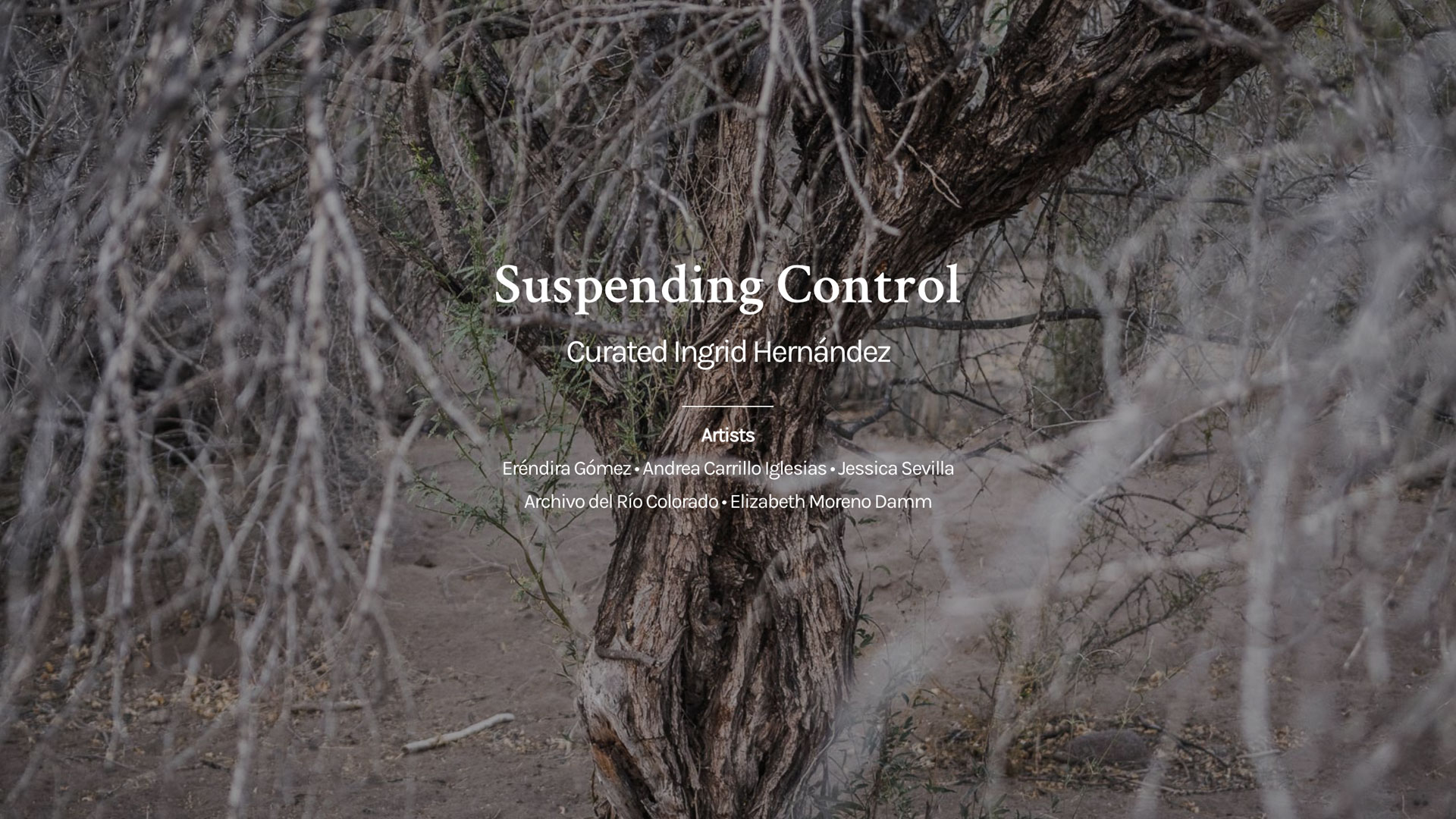 suspender_control_slidehome_en