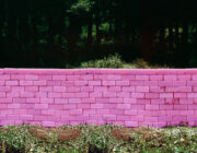 Zote De la serie Construcciones improbables 2008