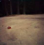 Sin título De la serie Morada  Parque Nacional Desierto de los Leones, Ciudad de México 2006 Película instantánea/Ligthjet