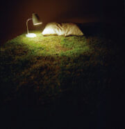 Unmade Bed De la serie Temporales interiores  2010 Ciudad de México 80 x 80 cm Película a color C-41/Ligthjet