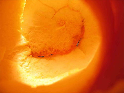 Orange. Malaysia / Brighton, Inglaterra, eyeseverywhere//ojosportodoslados. Lau Mun Leng, 2007