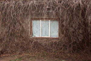 From the series Red October Student Residence 2016-2019