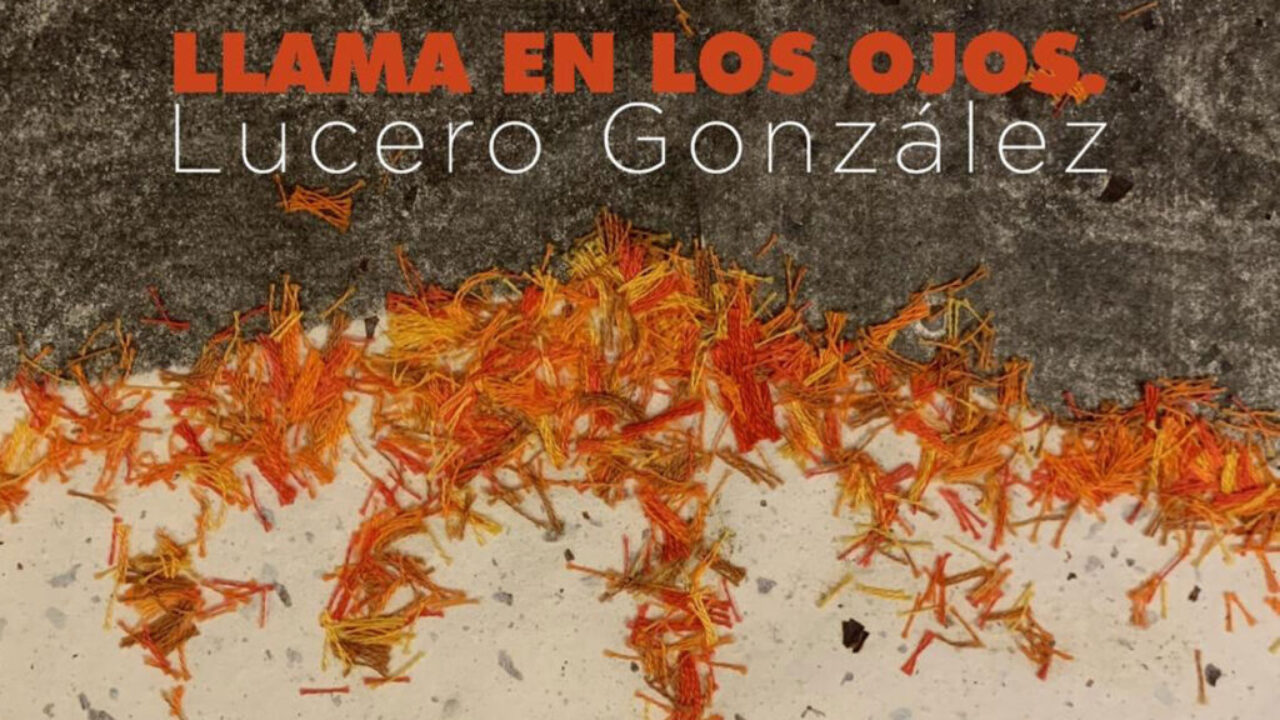 llama_en_los_ojos_muma