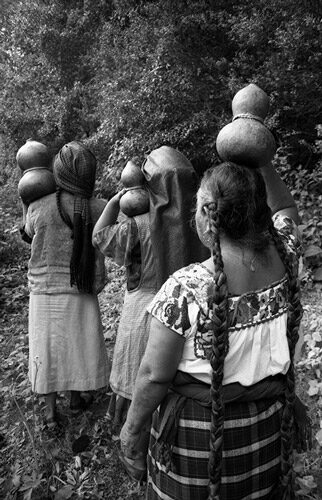 La siembra del agua, 2006