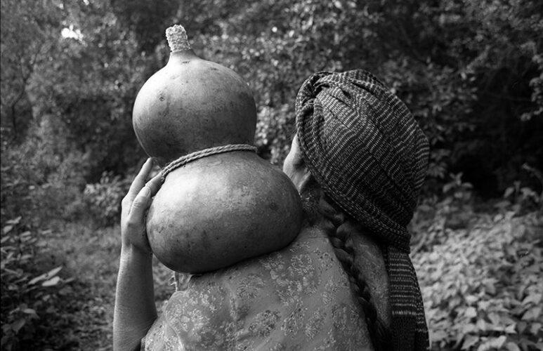 La siembra del agua, 2006