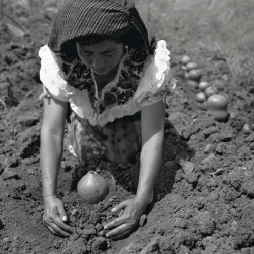 La siembra del agua, 2006