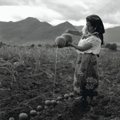 La siembra del agua, 2006