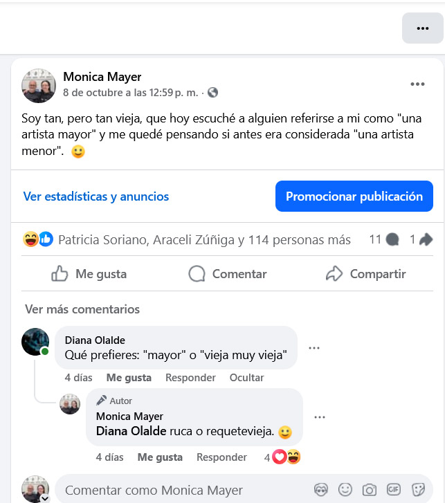 <p>Soy tan, pero tan vieja en FB. 2018 - 2025. Intervención en redes sociales</p>
