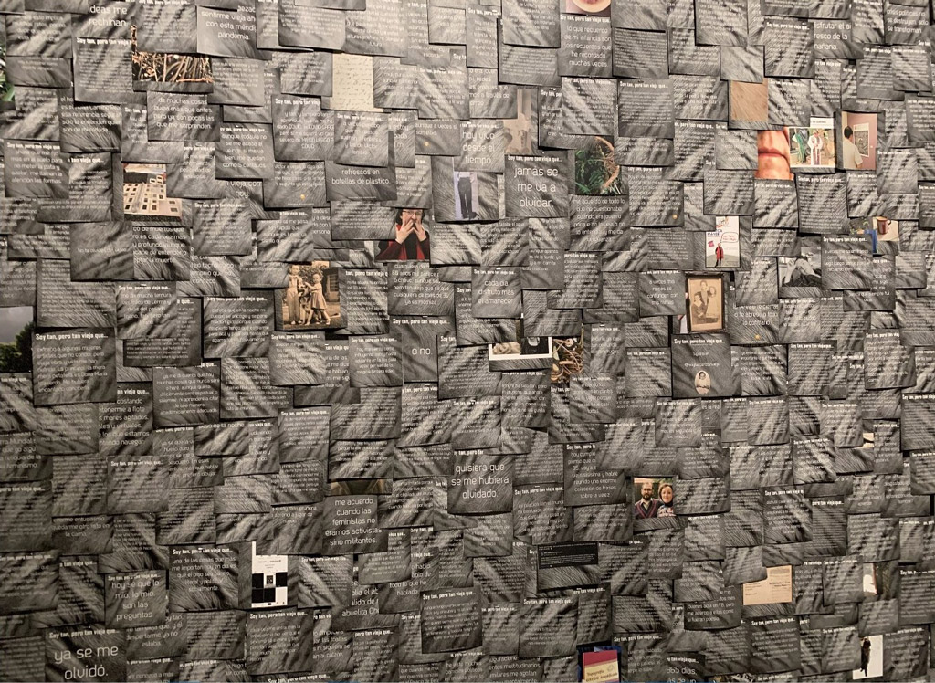 <p>Soy tan, pero tan vieja en el Claustro de Sor Juana 2. 2025. 2 x 3 mt con 880 respuestas. Impresión sobre papel. Exposición Hablando se entiende la gente, Claustro de Sor Juana, CDMX, México.</p>
